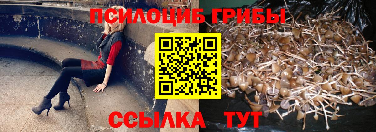 Приморско-Ахтарск  Псилоцибиновые грибы MAGIC MUSHROOMS  Вход с VPN  Галлюциногенные грибы Psilocybine cubensis 