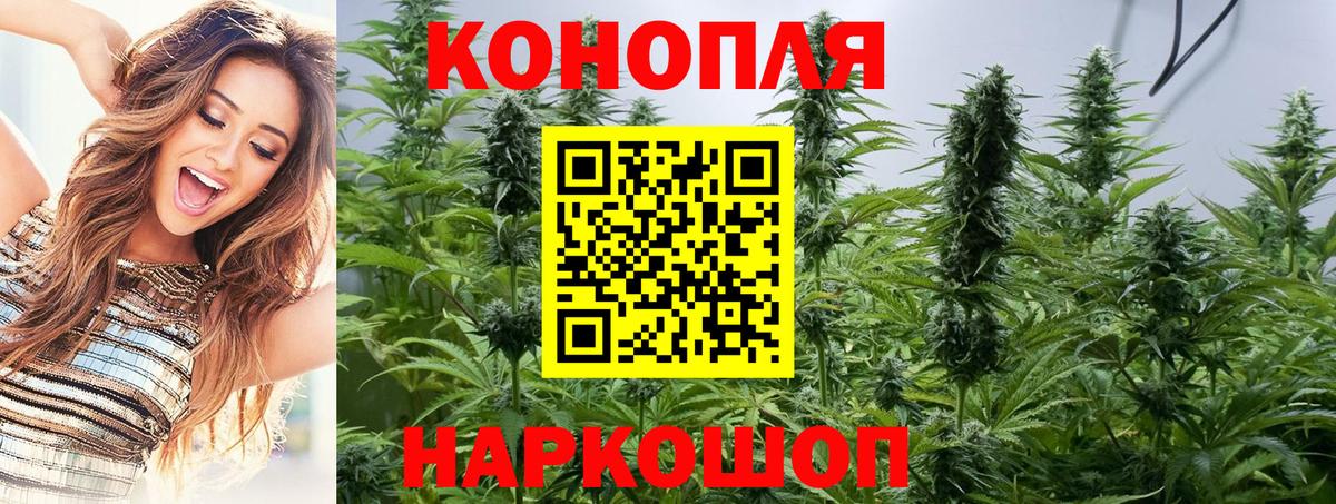 Канабис White Widow Приморско-Ахтарск